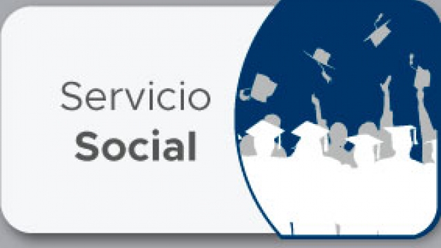 Servicio Social