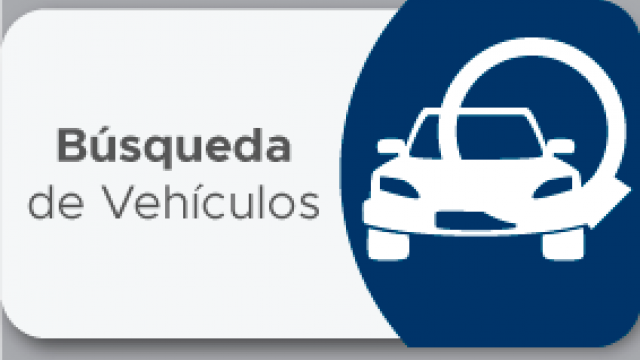 Búsqueda de Vehículos