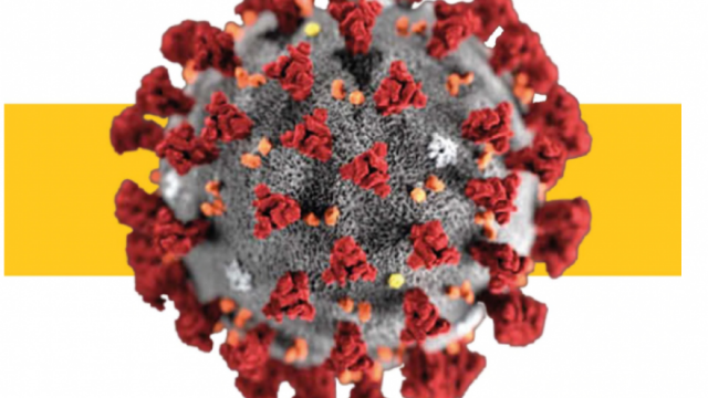 Información general sobre el nuevo coronavirus COVID-19